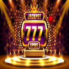 shbet809